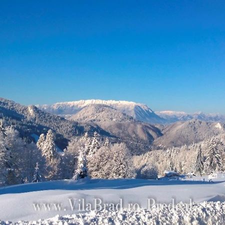 Vila Brad Predeal Εξωτερικό φωτογραφία