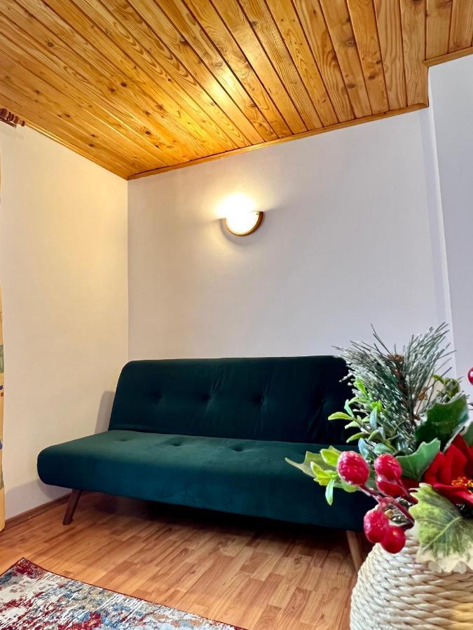 Vila Brad Predeal Εξωτερικό φωτογραφία